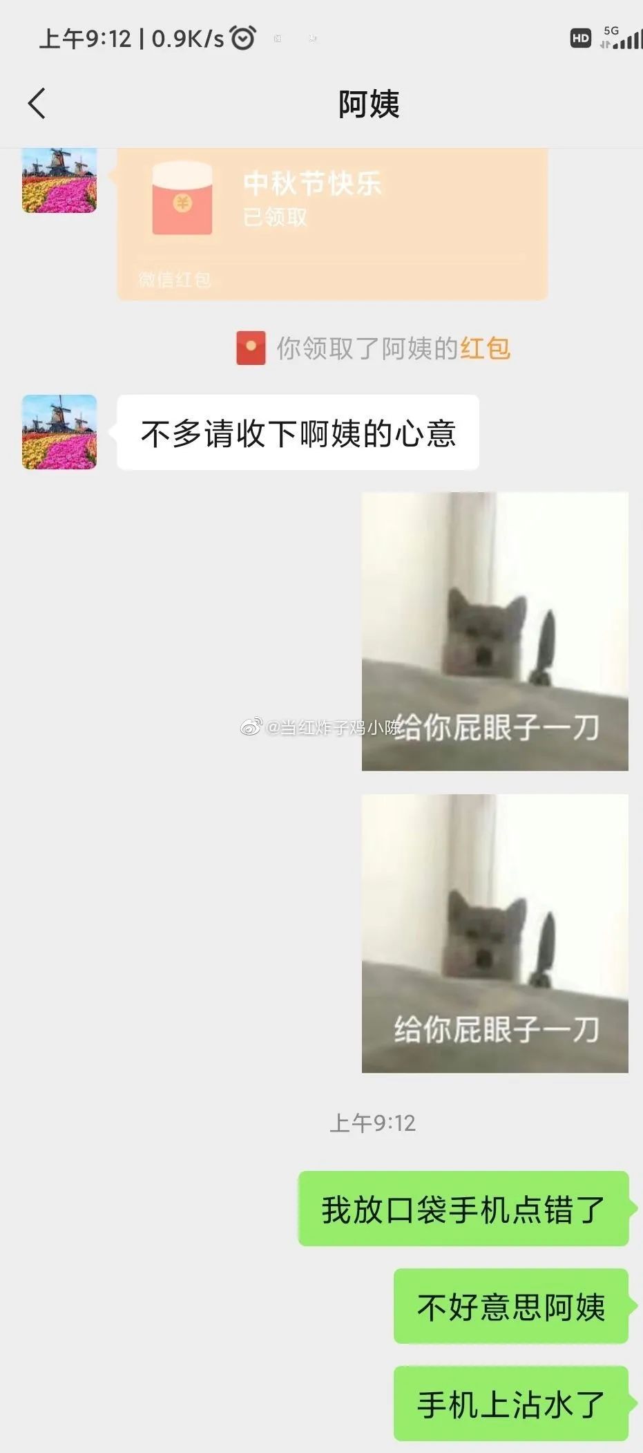 Word文档图片