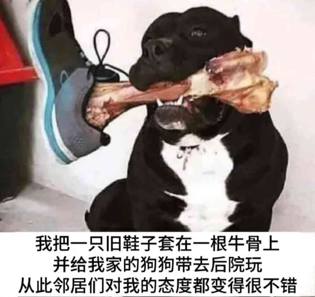 Word文档图片