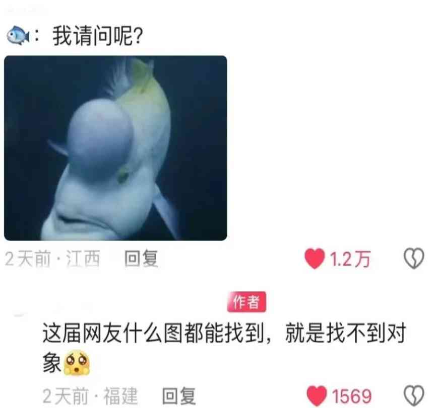Word文档图片
