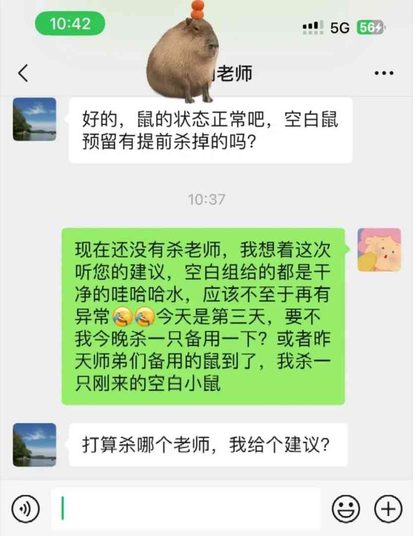Word文档图片