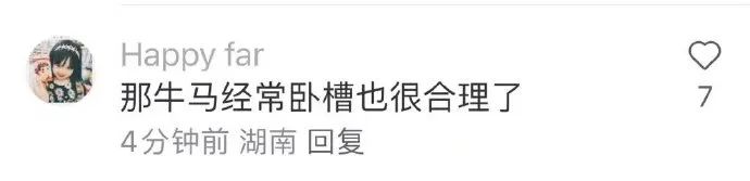 Word文档图片