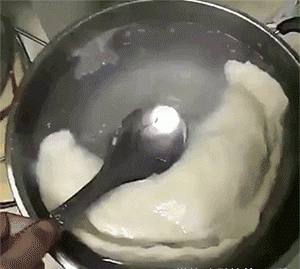 GIF：谁让你拍我们了？