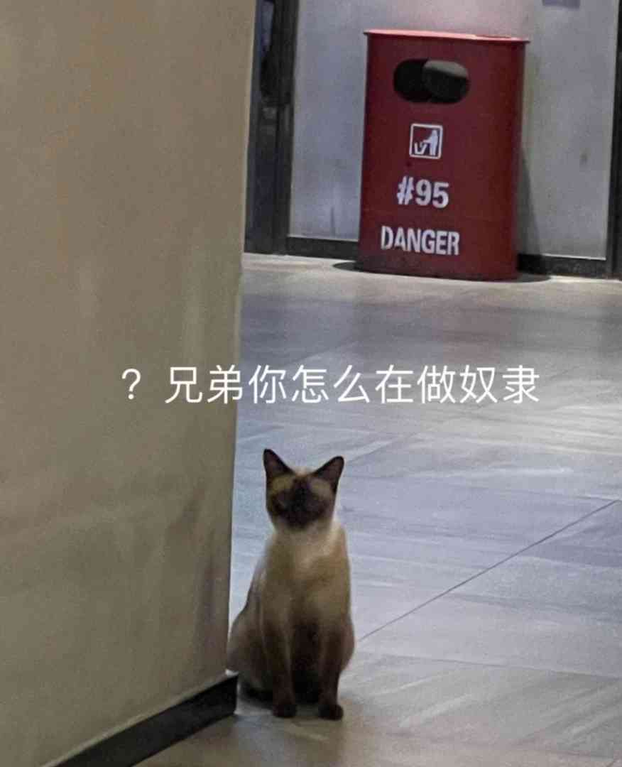 Word文档图片
