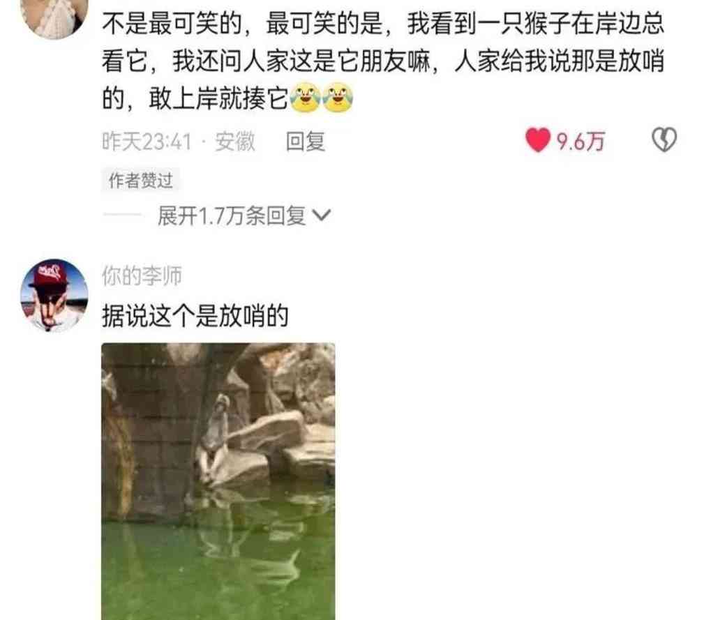 Word文档图片