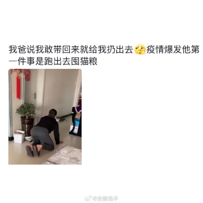 Word文档图片