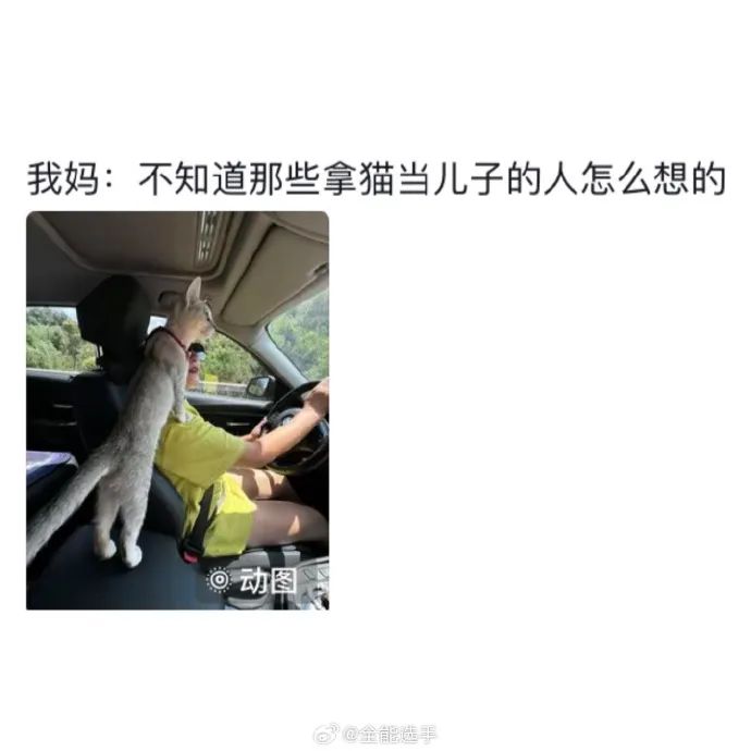 Word文档图片