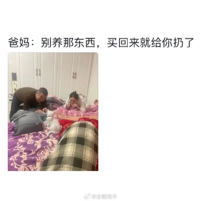 Word文档图片