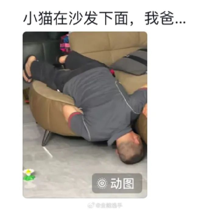 Word文档图片