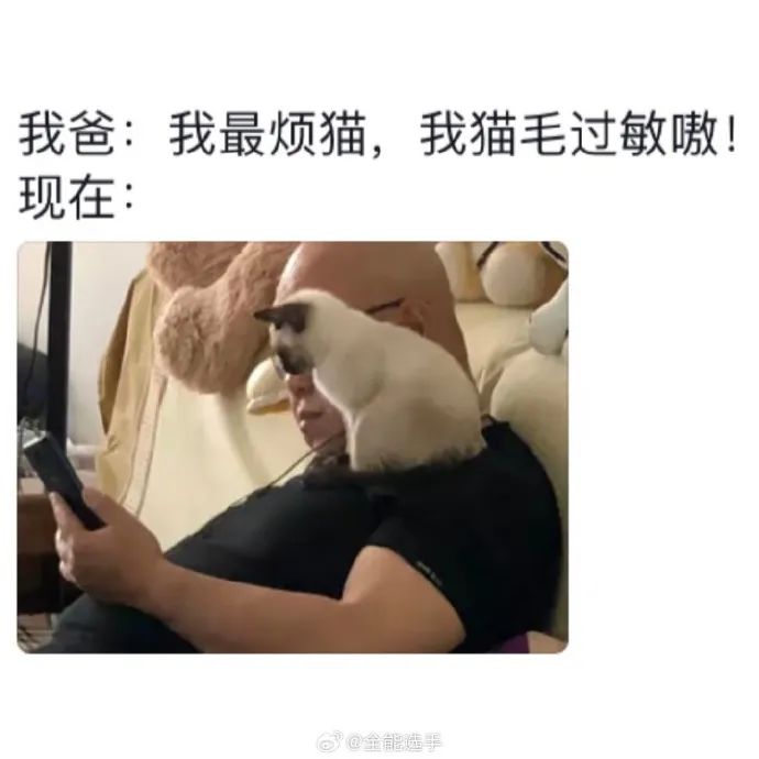 Word文档图片