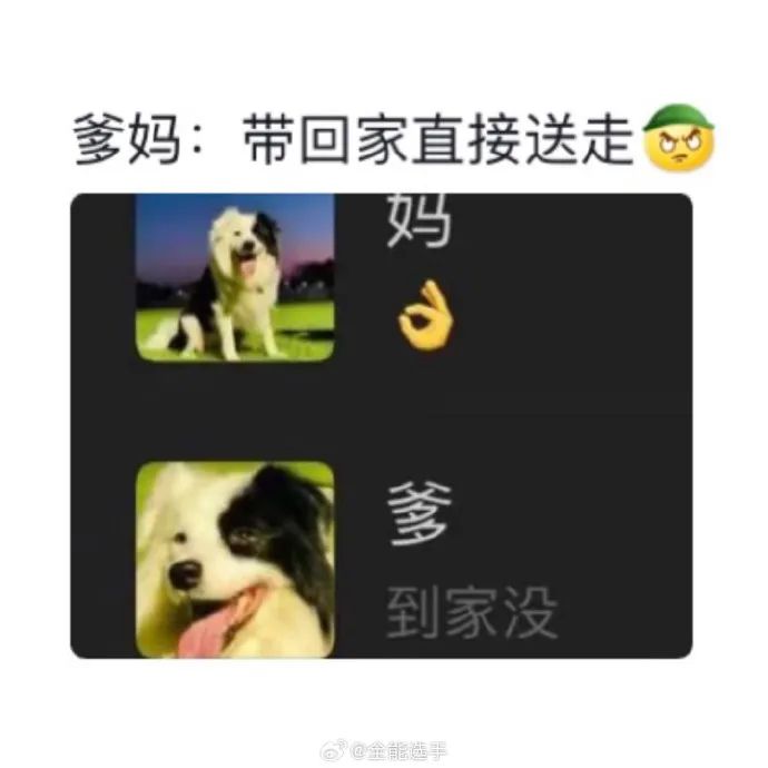 Word文档图片