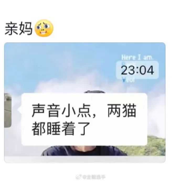 Word文档图片