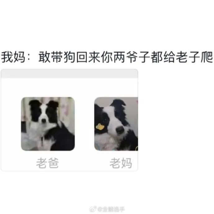 Word文档图片
