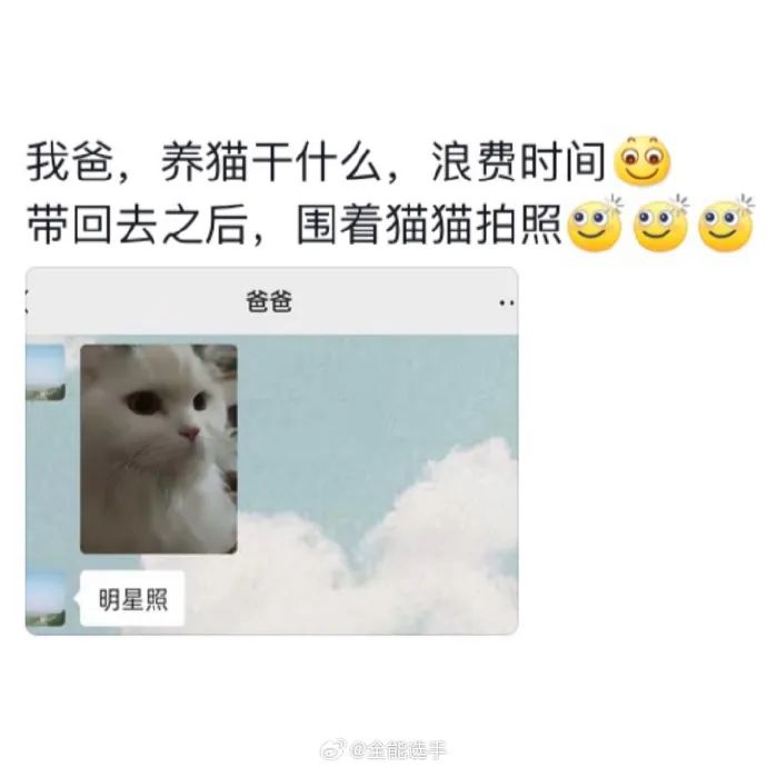 Word文档图片