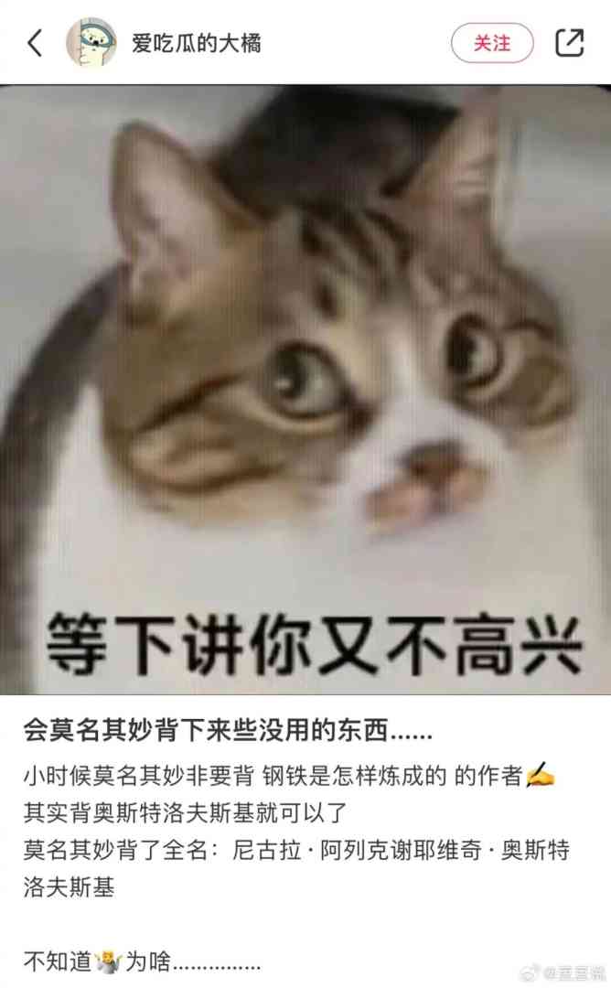 图：人就是会莫名其妙背下来些没用的东西！