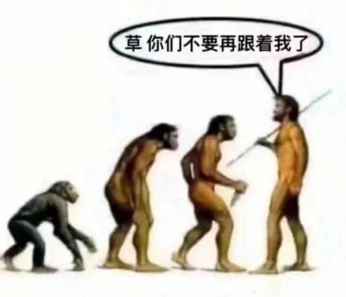 Word文档图片