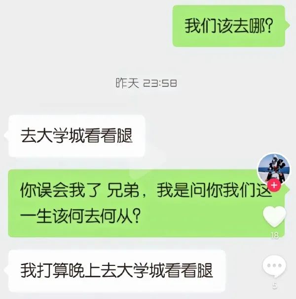 Word文档图片