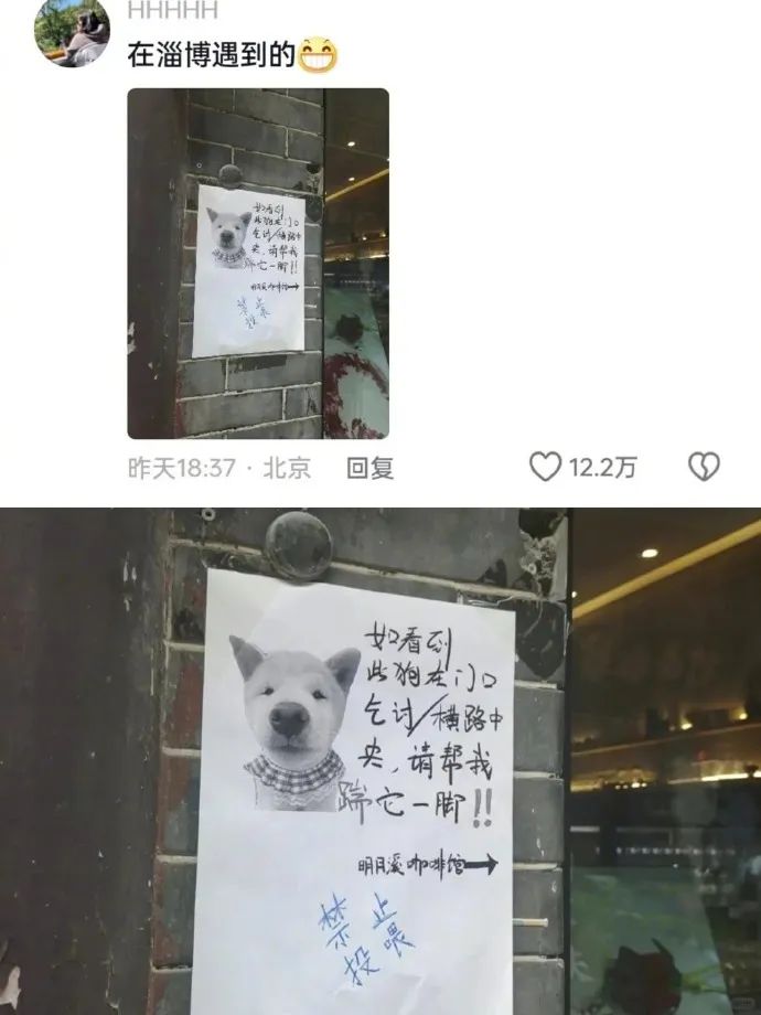 Word文档图片