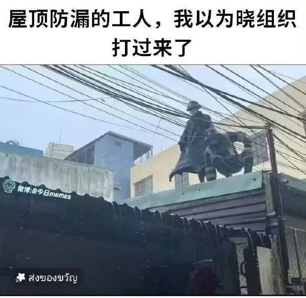 Word文档图片