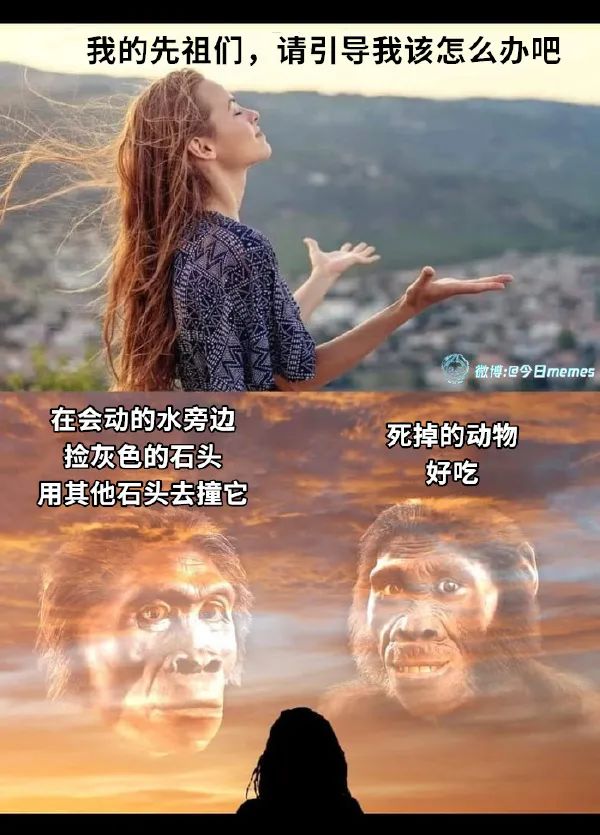Word文档图片