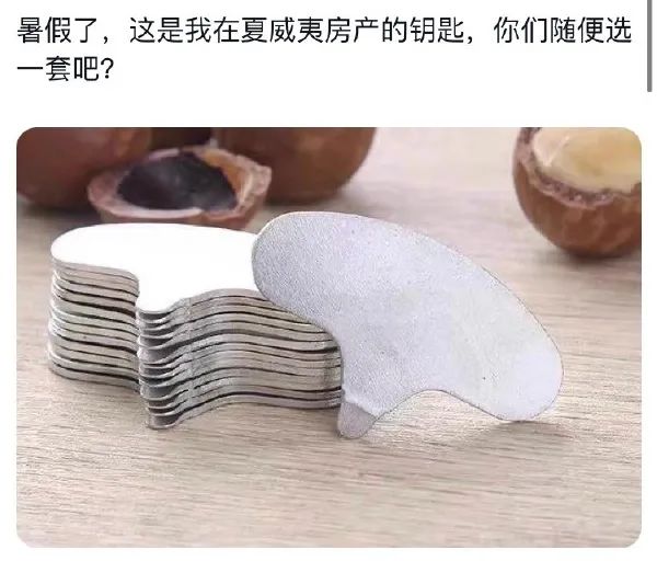 Word文档图片