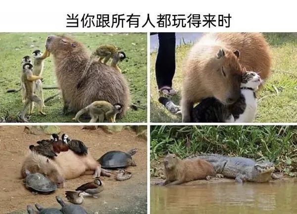 Word文档图片