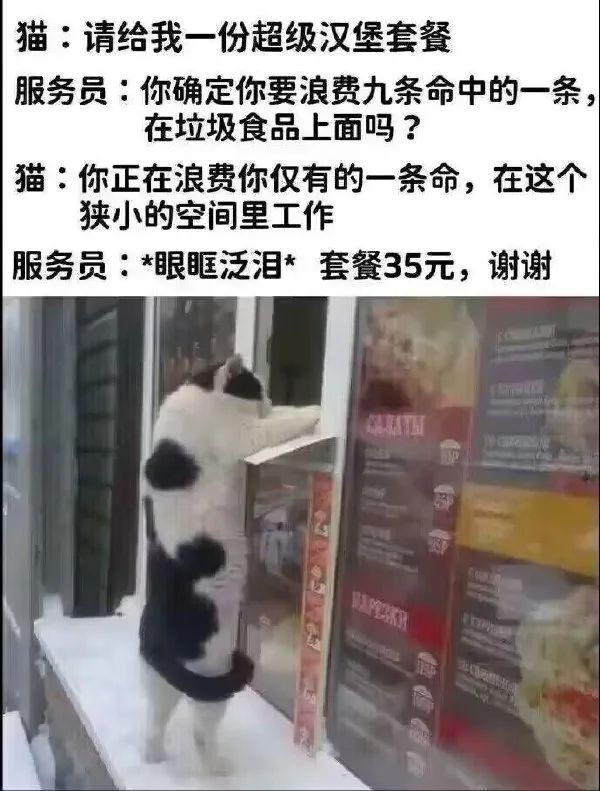Word文档图片