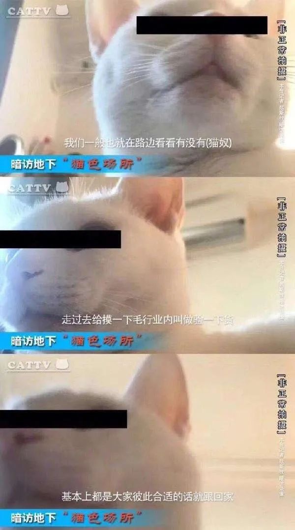 Word文档图片